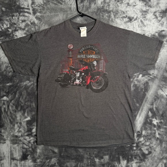 Harley-Davidson Other - Harley Davidson Graphic T-Shirt Mens XL Grey Thunderbird Albuquerque NM Biker
